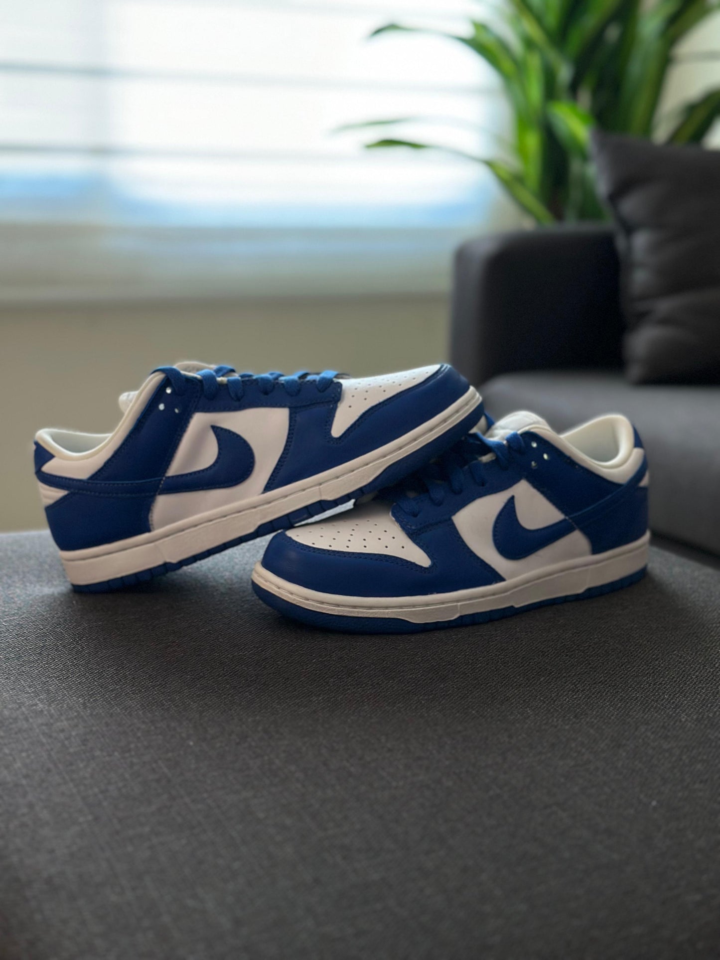 Nike Dunk Low SP Kentucky