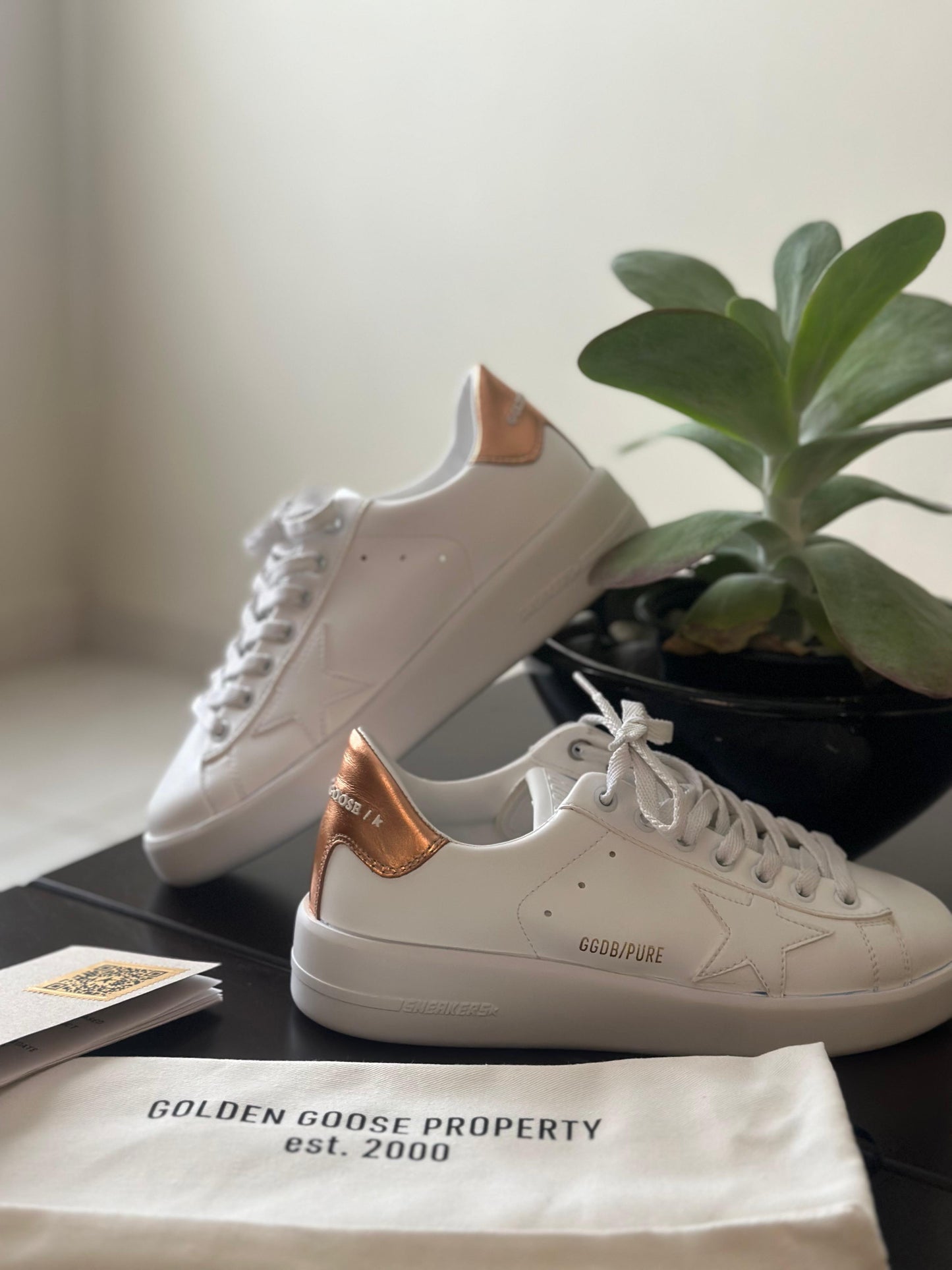 Golden Goose Deluxe Brand Pure-Star White/Bronze